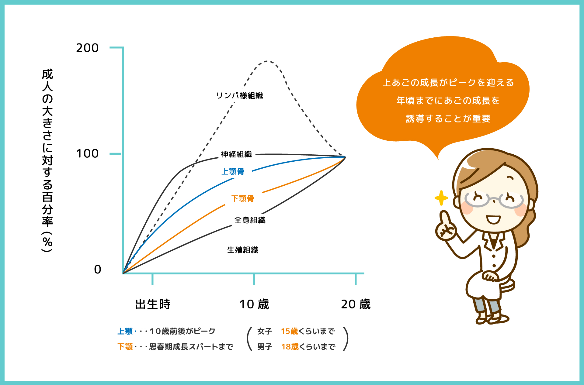 上あごの成長がピークを迎える年頃までにあごの成長を誘導することが重要